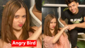 [Angry Bird] Why is Jannat Zubair angry with Siddharth Nigam?