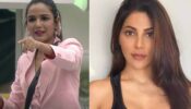 Bigg Boss 14: Jasmin Bhasin admires Nikki Tamboli, find out why