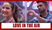 Bigg Boss 14 spoiler alert Day 27: Jasmin Bhasin gets teary-eyed seeing rumoured boyfriend Aly Goni in the house