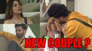 Bigg Boss 14 spoiler alert Day 32: Are Rahul Vaidya and Nikki Tamboli new couple in the house?