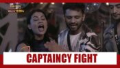Bigg Boss 14 Spoiler Alert Day 35: Mai dominate hoti nahi dominate karti hu: Pavitra Punia on Captaincy fight with Rahul Vaidya