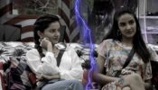 Bigg Boss 14 spoiler alert Day 47: Rubina Dilaik and Jasmin Bhasin clash as Captain Kavita Kaushik oversees the Batwara task