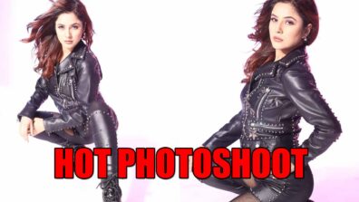 Bigg Boss fame Shehnaaz Gill’s hot photoshoot pictures go viral