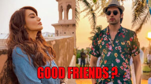 Can Parth Samthaan and Surbhi Jyoti Be Good Friends?