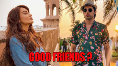 Can Parth Samthaan and Surbhi Jyoti Be Good Friends?