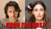 Can Surbhi Chandna And Shaheer Sheikh Be Good Friends?