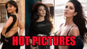 Crazy Hot Pictures Of Anushka Shetty, Kiara Advani, And Katrina Kaif
