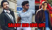 Dheeraj Dhoopar, Parth Samthaan, Mohsin Khan: Salary and love life revealed