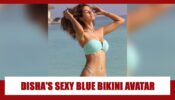 Disha Patani And Her Blue Bikini: Combination To Die For