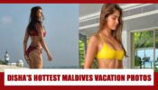Disha Patani’s HOTTEST bikini photos from her Maldives vacation that went VIRAL