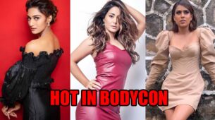 Erica Fernandes, Hina Khan, Nia Sharma: Hot pictures in bodycon dresses