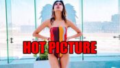 Erica Fernandes shares latest hot picture wearing monokini