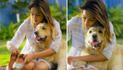 Erica Fernandes’s cute ‘pet moment’