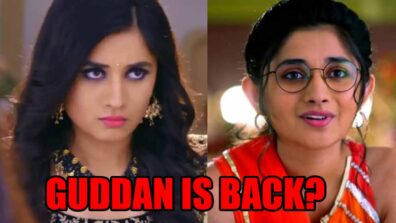 Guddan Tumse Na Ho Payega spoiler alert: Guddan returns to protect daughter Choti Guddan?