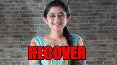 Guddan Tumse Na Ho Payega spoiler alert: Choti Guddan to recover