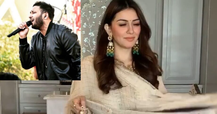 Hansika Motwani's rare and unknown connection with Ash King