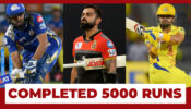 IPL 2020: Top 3 Cricketers Who Completed 5000 Runs In IPL History