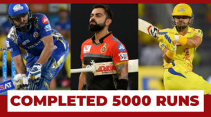 IPL 2020: Top 3 Cricketers Who Completed 5000 Runs In IPL History
