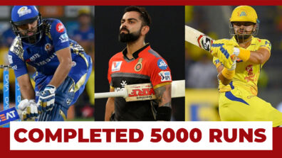 IPL 2020: Top 3 Cricketers Who Completed 5000 Runs In IPL History