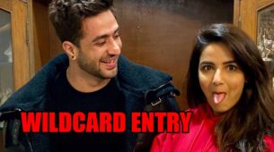 Jasmin Bhasin’s BFF Aly Goni to enter Bigg Boss 14