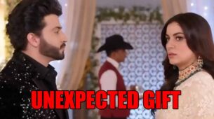 Kundali Bhagya spoiler alert: Preeta asks unexpected gift from Karan on Karwa Chauth