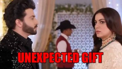 Kundali Bhagya spoiler alert: Preeta asks unexpected gift from Karan on Karwa Chauth