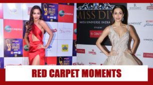 Malaika Arora’s Hottest Red Carpet Moments Ever
