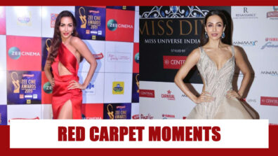 Malaika Arora’s Hottest Red Carpet Moments Ever