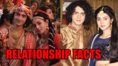 Mallika Singh-Sumedh Mudgalkar unknown relationship facts