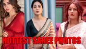 Mouni Roy, Hina Khan And Shehnaaz Gill Hottest Saree Photos That Went Viral On Internet