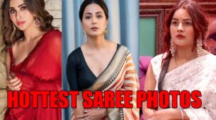 Mouni Roy, Hina Khan And Shehnaaz Gill Hottest Saree Photos That Went Viral On Internet