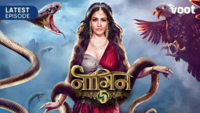 Naagin Written Update S05 Ep25 31st October 2020: Veer challenges Bani