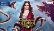 Naagin Written Update S05 Ep30 21st November 2020: Veer locks Bani in a glass box