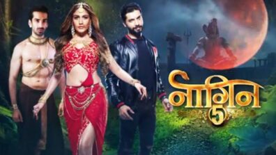 Naagin Written Update S05 Ep33 29th November 2020: Maarkaat to attack Bani’s family