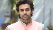 Nikki Sharma has been really understanding: Brahmarakshas actor Pearl V. Puri 