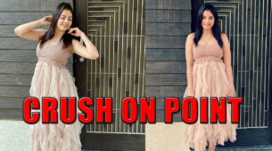 OMG: Does Shrenu Parikh Have A New Crush? Know The Real Truth