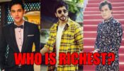 Parth Samthaan Vs Mohsin Khan Vs Dheeraj Dhoopar: Find Out Who Is Richest?
