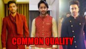 Parth Samthaan, Shaheer Sheikh And Pearl V Puri Have THIS Quality In Common