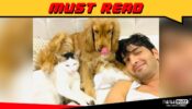 Pet Pourri: Actor Pratham Kunwar’s adorable Jaanu & Maau story