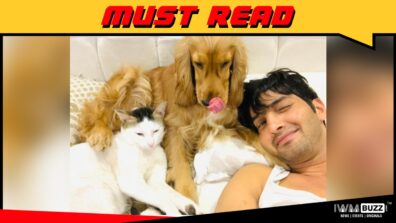 Pet Pourri: Actor Pratham Kunwar’s adorable Jaanu & Maau story