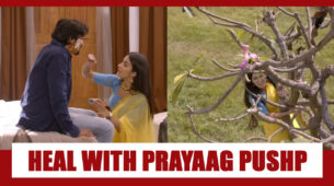 Qurbaan Hua Spoiler Alert: Chahat to heal Neel with Prayaag Pushp