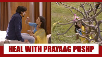 Qurbaan Hua Spoiler Alert: Chahat to heal Neel with Prayaag Pushp