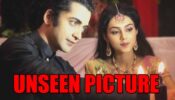 RadhaKrishn chemistry: Mallika Singh-Sumedh Mudgalkar’s rare unseen picture for fans