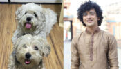 RadhaKrishn fame Sumedh Mudgalkar hits huge success, thanks fans with a sweet message
