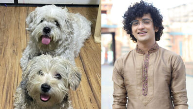 RadhaKrishn fame Sumedh Mudgalkar hits huge success, thanks fans with a sweet message