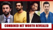 Ranbir Kapoor, Vicky Kaushal, Shahid Kapoor, Varun Dhawan: Combined net worth