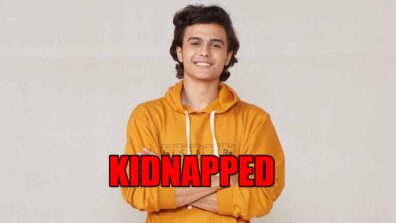 Tera Yaar Hoon Main spoiler alert: Rishabh to get kidnapped