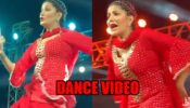 Sapna Choudhary Nails One More Stage Show After Motherhood: Watch The Video As She Brings The Fans On Their Knees