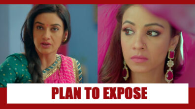 Shaadi Mubarak Spoiler Alert: Preeti to expose Nandini?