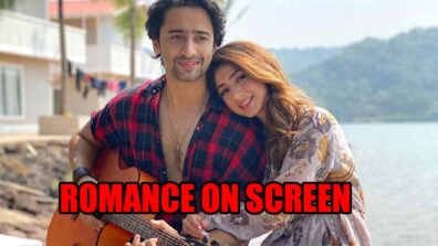 Shaheer Sheikh set to romance on screen